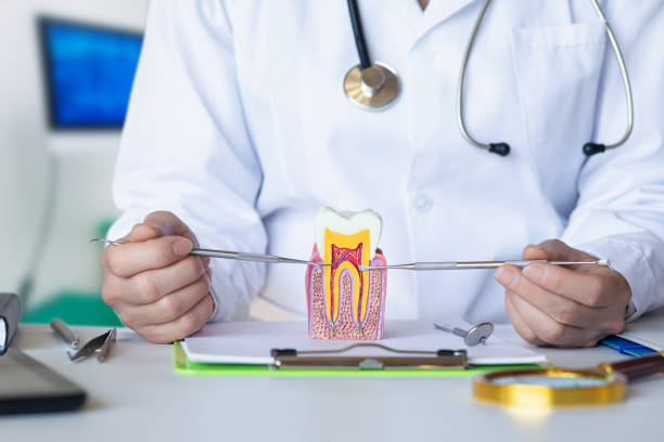 Best Weekend Emergency Dentist in Navy Yard City, WA